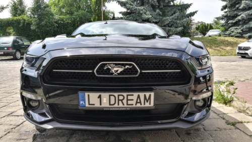 Wash & Vap - Ford Mustang 2016