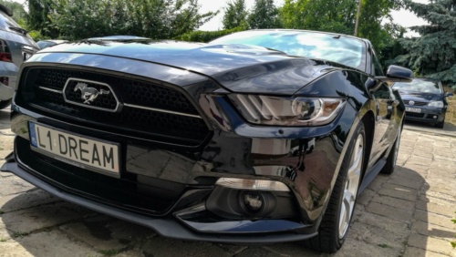 Wash & Vap - Ford Mustang 2016